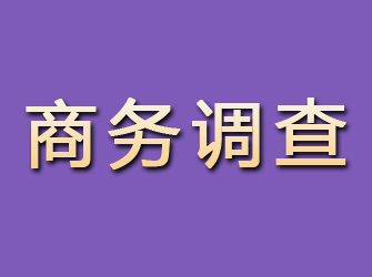 和田商务调查